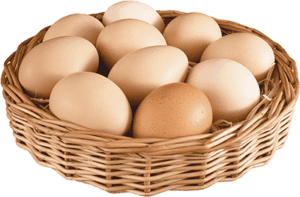 Egg chicken storage