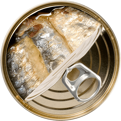 Fish canned photo