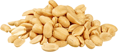 Peanut photo