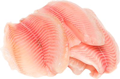 Fillet fish photo