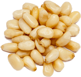 Pine nuts photo
