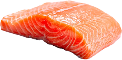 Trout fillet lightly salted photo