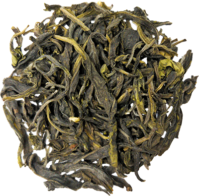Leaves green tea photo